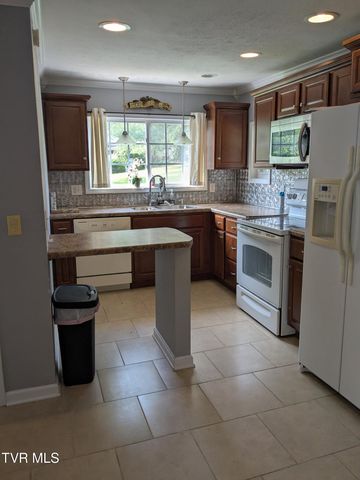 1319 5th Street, Bristol, TN 37620