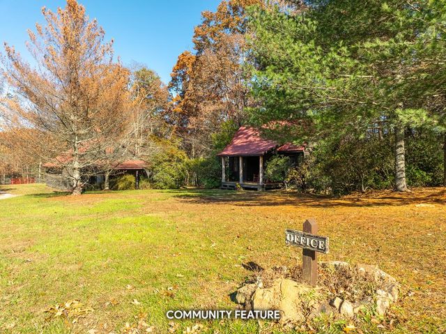 Lot 35 Spring Camp Road, Ellijay, GA 30536