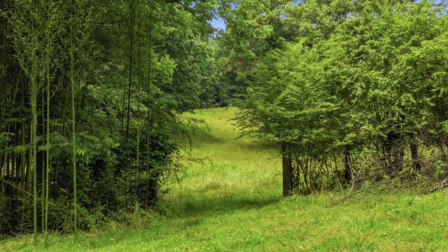 10675 Lovell Road, Soddy Daisy, TN 37379