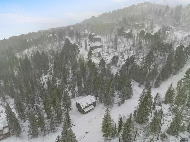 11021 ANTELOPE TR, Lead, SD 57754