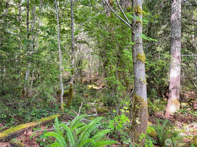 311130 US Highway 101, Brinnon, WA 98320