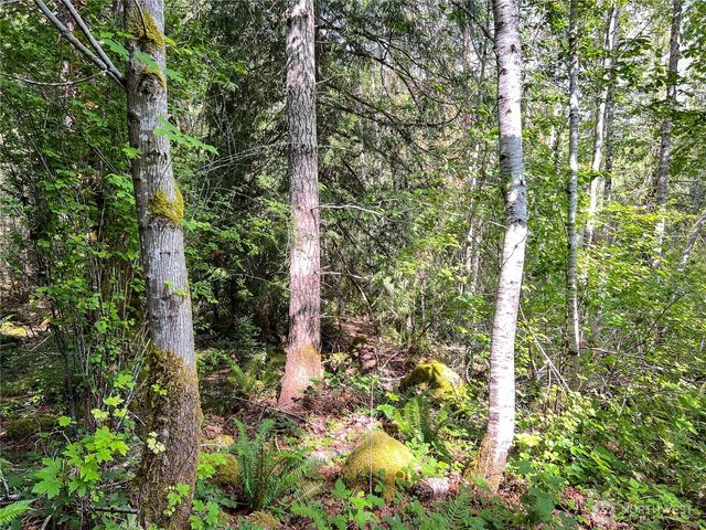 311130 US Highway 101, Brinnon, WA 98320
