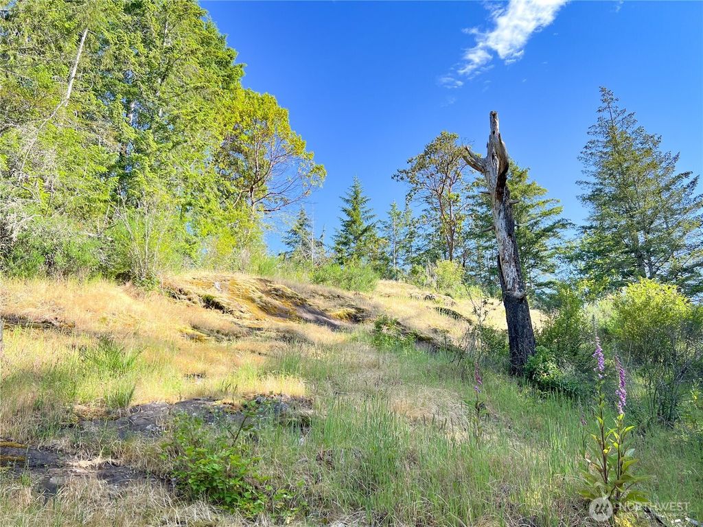 311130 US Highway 101, Brinnon, WA 98320