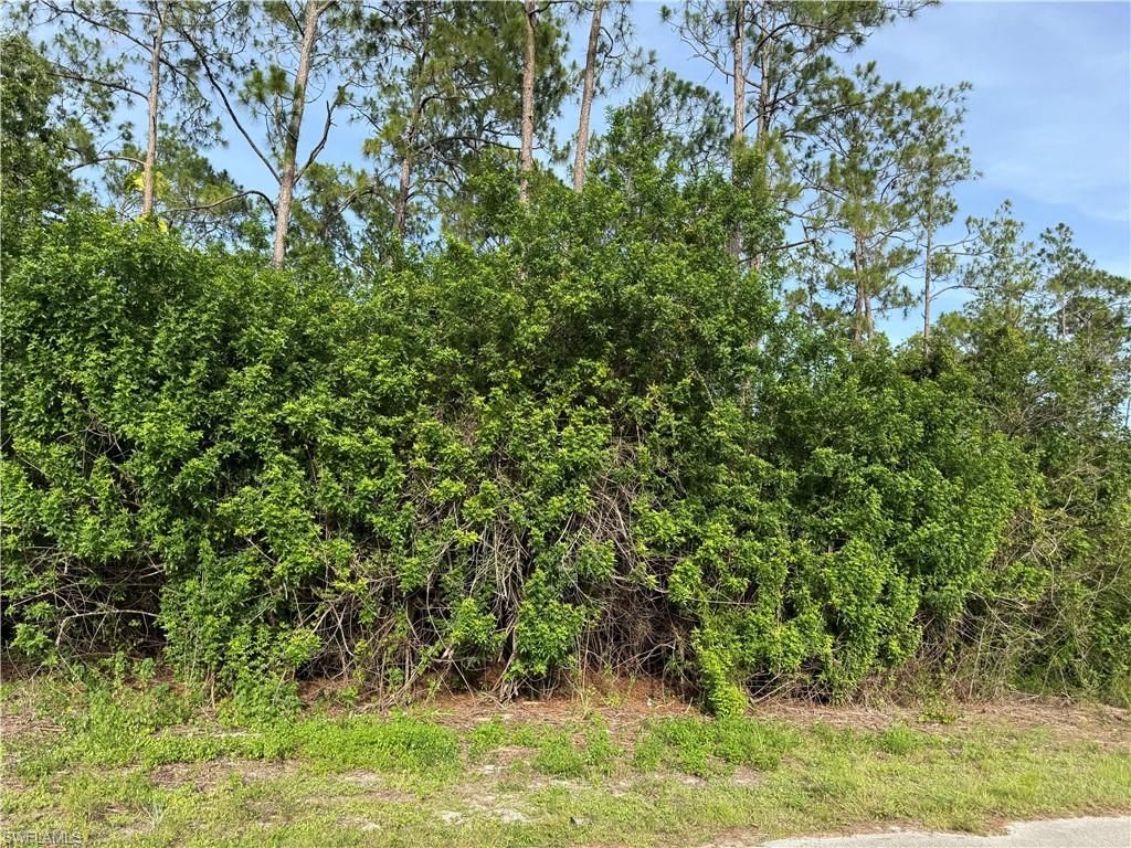 2202 Truman AVE, ALVA, FL 33920 — photo 2