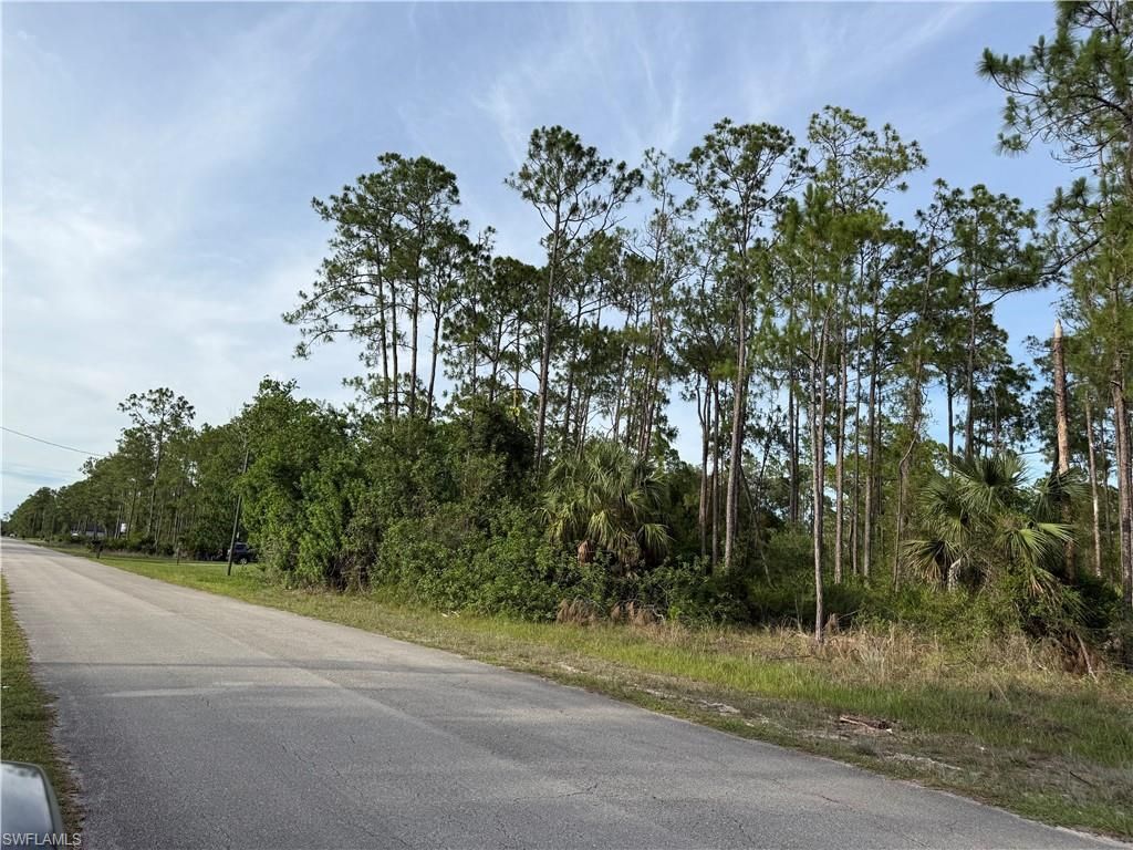 2202 Truman AVE, ALVA, FL 33920 — photo 4