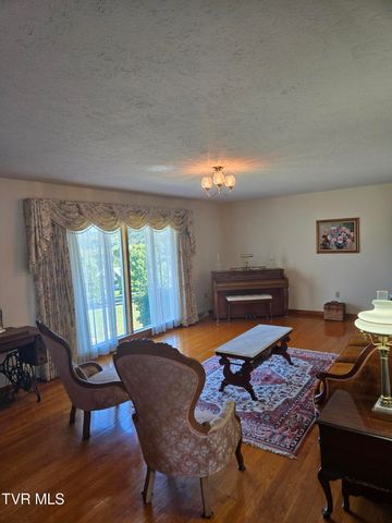 720 North Mohawk Drive, Erwin, TN 37650