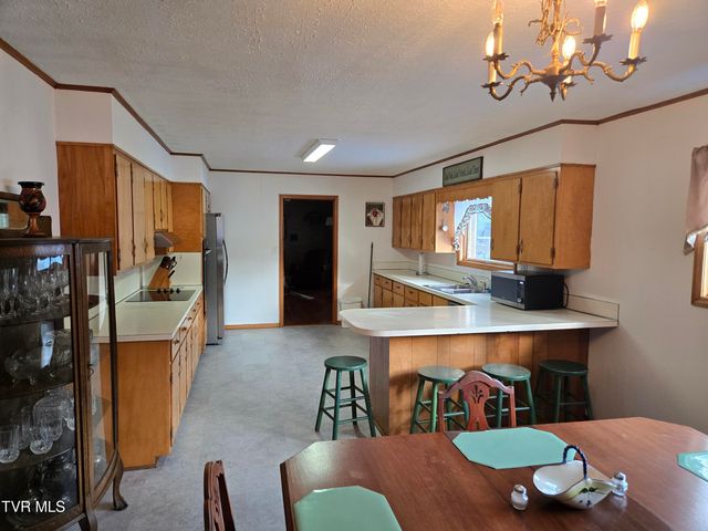 720 North Mohawk Drive, Erwin, TN 37650