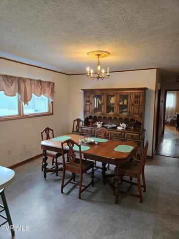 720 North Mohawk Drive, Erwin, TN 37650