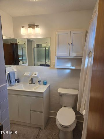 720 North Mohawk Drive, Erwin, TN 37650