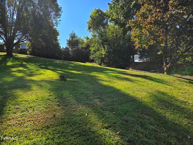 720 North Mohawk Drive, Erwin, TN 37650