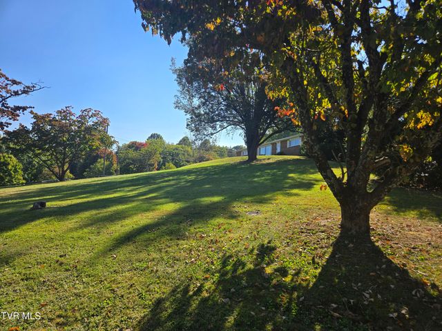 720 North Mohawk Drive, Erwin, TN 37650