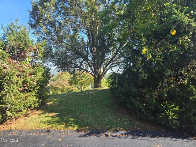 720 North Mohawk Drive, Erwin, TN 37650