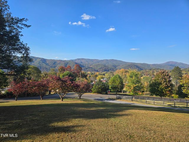 720 North Mohawk Drive, Erwin, TN 37650