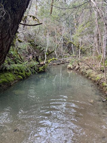 17001 Walker Lake Rd, Willits, CA 95490