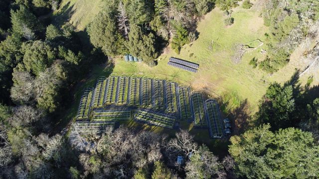 17001 Walker Lake Rd, Willits, CA 95490