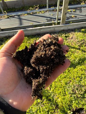 17001 Walker Lake Rd, Willits, CA 95490