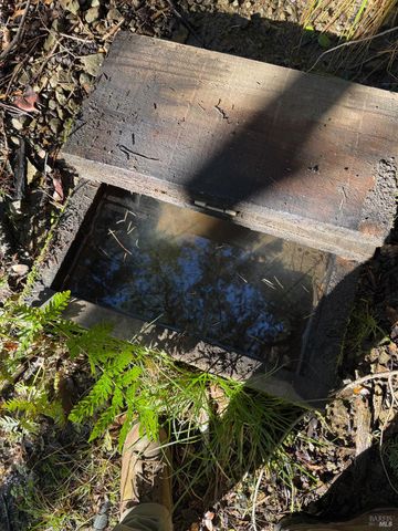 17001 Walker Lake Rd, Willits, CA 95490