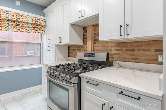 1329 W Addison Street 1A, Chicago, IL 60613