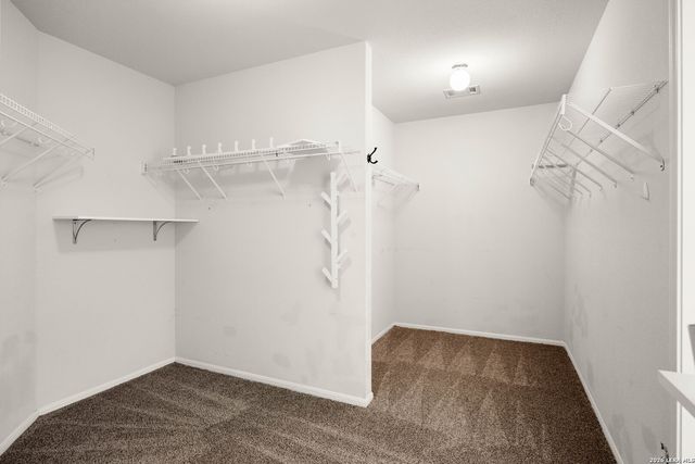 23610 Calico Chase, San Antonio, TX 78260