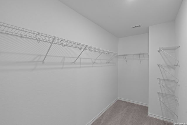 4117 LAZY LILY DR, Seguin, TX 78155