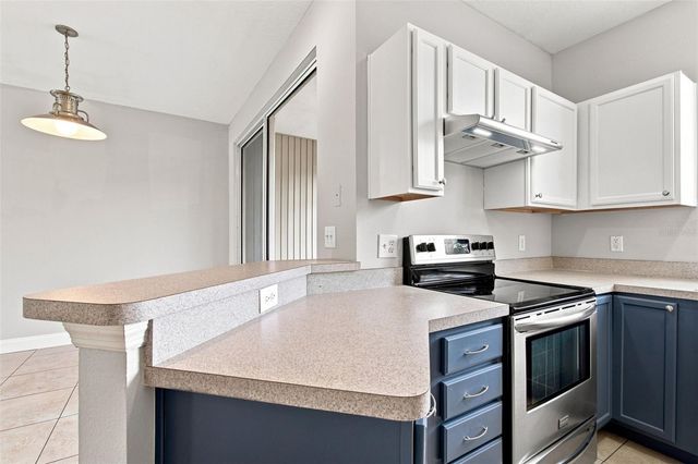 12225 COUNTRY WHITE CIRCLE, Tampa, FL 33635