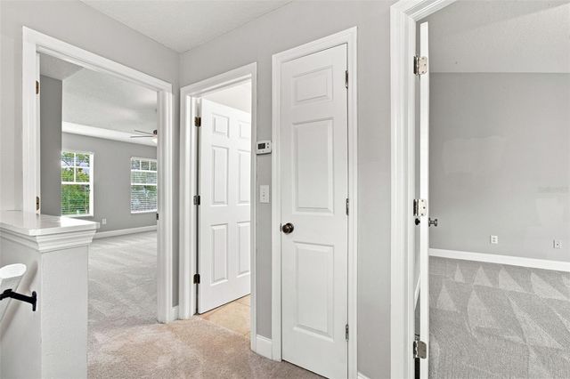 12225 COUNTRY WHITE CIRCLE, Tampa, FL 33635