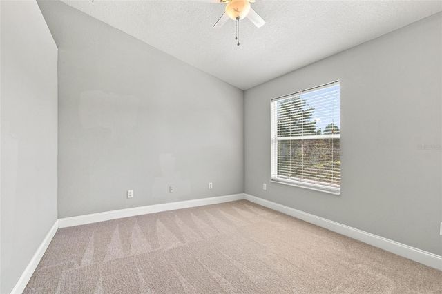 12225 COUNTRY WHITE CIRCLE, Tampa, FL 33635
