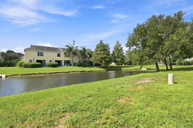 12225 COUNTRY WHITE CIRCLE, Tampa, FL 33635