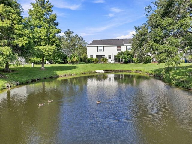 12225 COUNTRY WHITE CIRCLE, Tampa, FL 33635