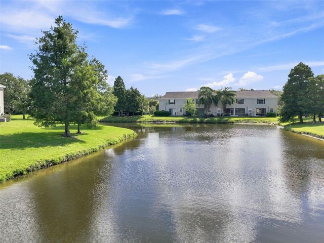 12225 COUNTRY WHITE CIRCLE, Tampa, FL 33635