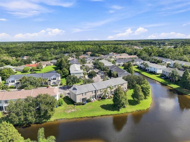 12225 COUNTRY WHITE CIRCLE, Tampa, FL 33635