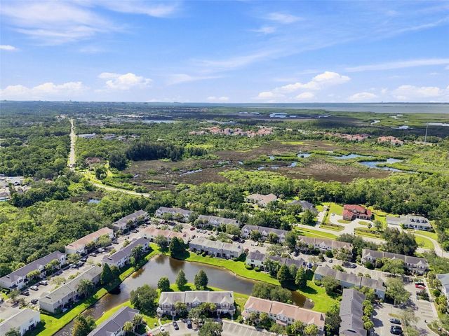 12225 COUNTRY WHITE CIRCLE, Tampa, FL 33635