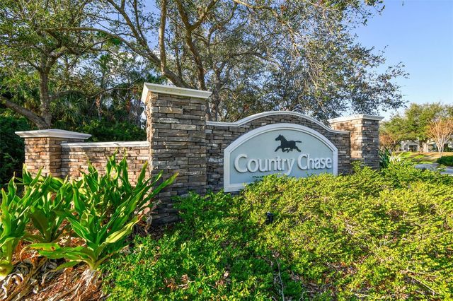 12225 COUNTRY WHITE CIRCLE, Tampa, FL 33635