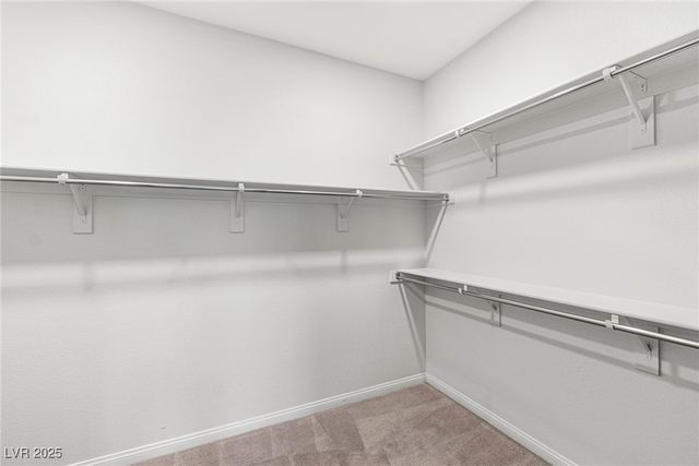 106 Badwater Basin Street, Las Vegas, NV 89138