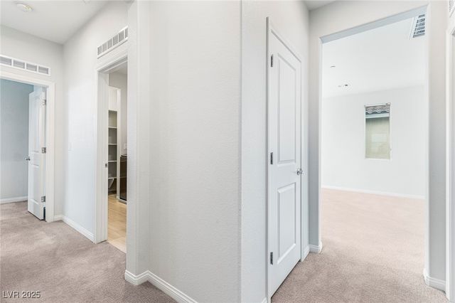 106 Badwater Basin Street, Las Vegas, NV 89138