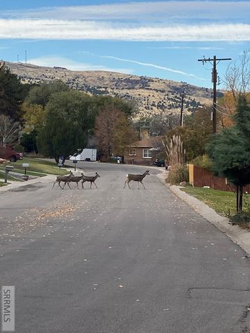 311 Skyline Drive, Pocatello, ID 83204