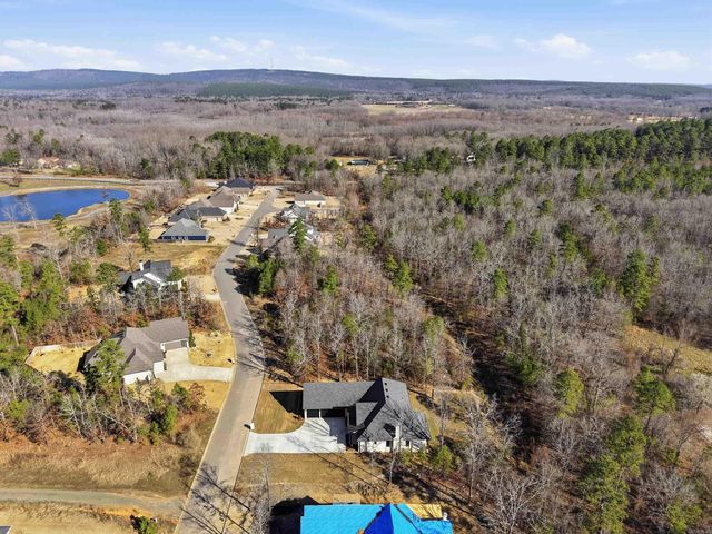 19118 Waterview Meadow Lane, Roland, AR 72135