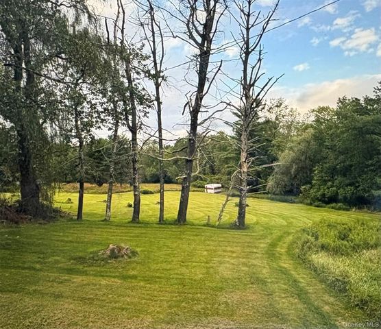 3038 State Route 17B, Cochecton, NY 12726