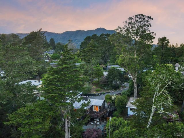 195 Edgewood Ave, Mill Valley, CA 94941
