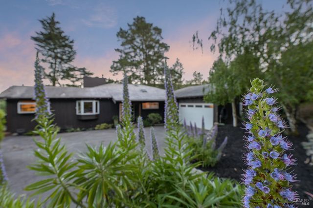 195 Edgewood Ave, Mill Valley, CA 94941