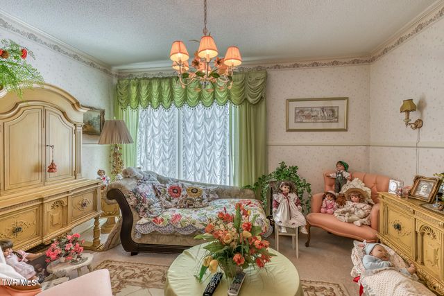 1636 Forge Creek Road, Mountain City, TN 37683