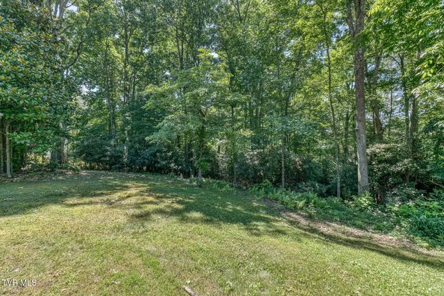 1636 Forge Creek Road, Mountain City, TN 37683