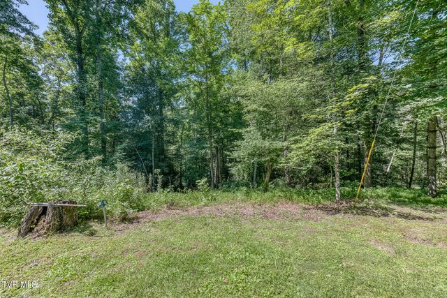 1636 Forge Creek Road, Mountain City, TN 37683