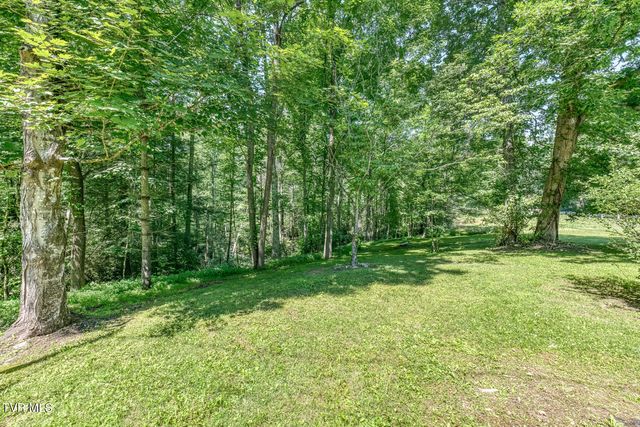 1636 Forge Creek Road, Mountain City, TN 37683