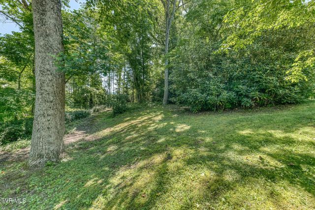 1636 Forge Creek Road, Mountain City, TN 37683
