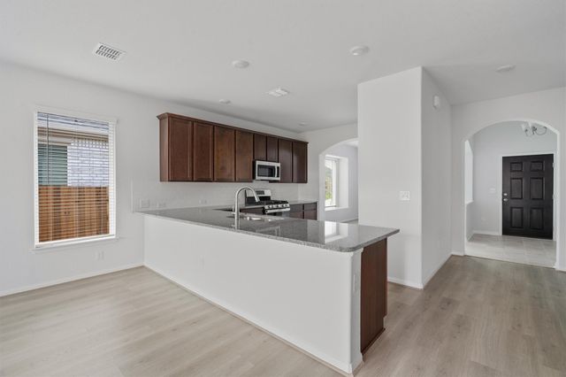 315 Diamondleaf DR, Buda, TX 78610