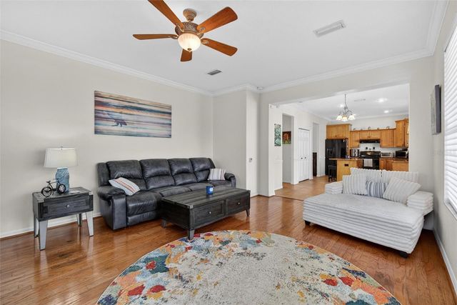 1006 ROBINWOOD DRIVE, Oldsmar, FL 34677