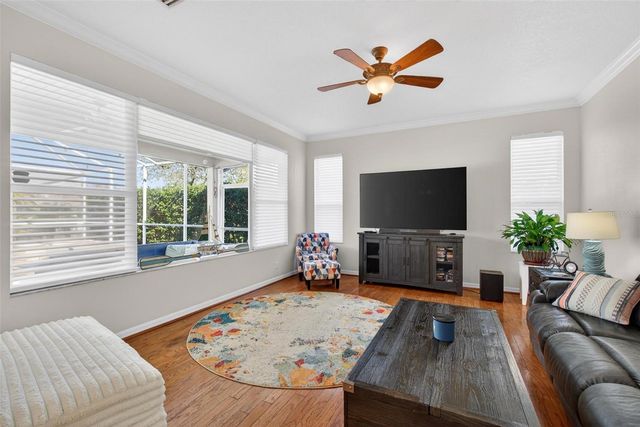 1006 ROBINWOOD DRIVE, Oldsmar, FL 34677