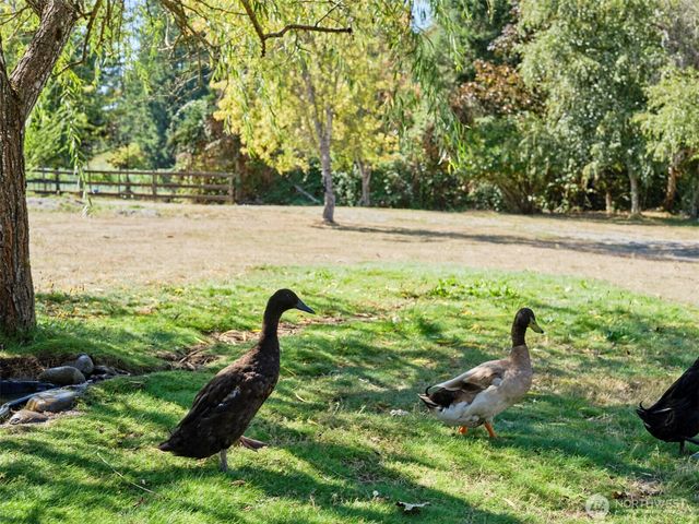 11700 NE 279th Street, Battle Ground, WA 98604