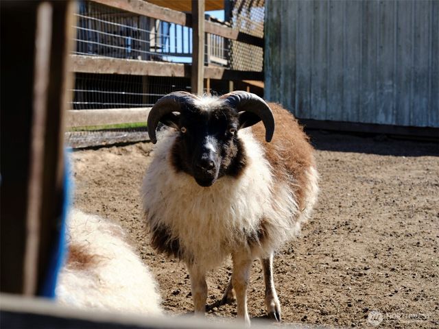 11700 NE 279th Street, Battle Ground, WA 98604